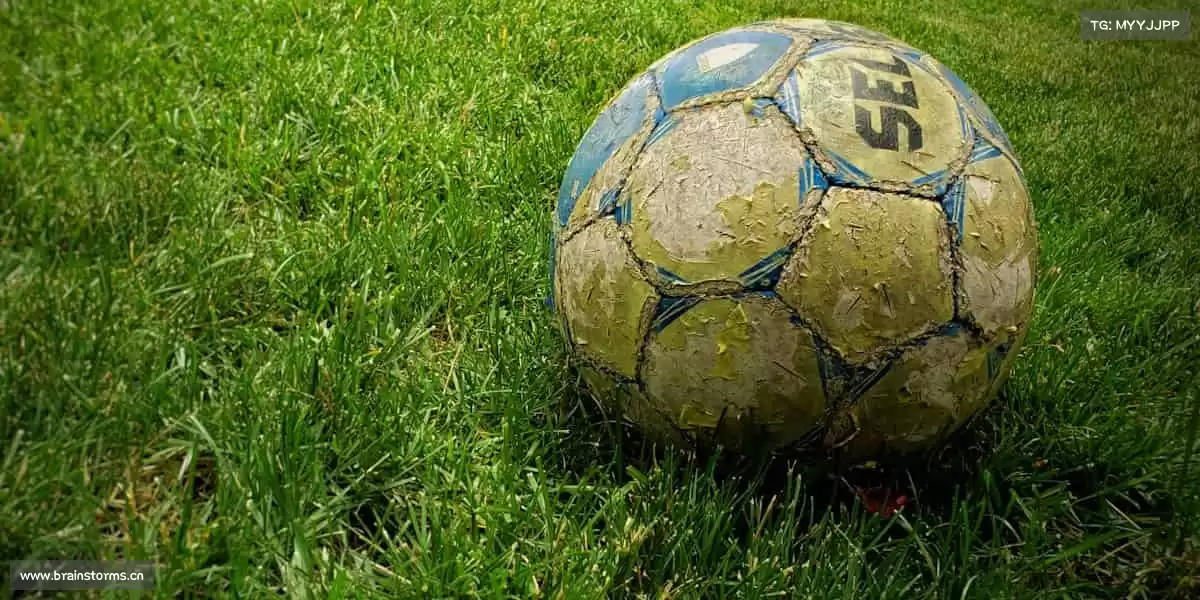 行业领先的理由